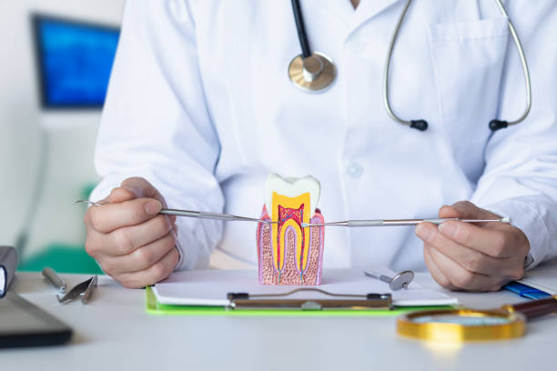 Best Knocked-Out Tooth (Avulsed Tooth) Treatment in Altamont, KS